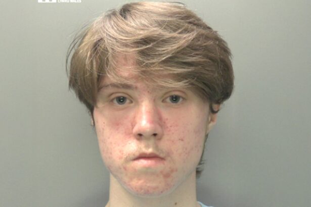 McKenzie Morgan. Crédito: South Wales Police.