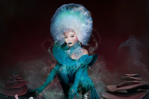 Björk. Crédito: Reprodução.