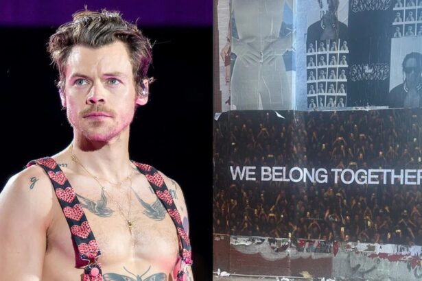 Harry Styles. Crédito: Credits: Raph Pour-Hashemi.