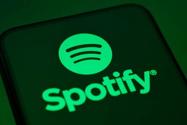 Spotify. Crédito: Samuel Boivin/NurPhoto via Getty Images.