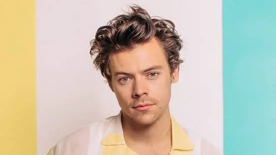 Harry Styles. Crédito: Reprodução.