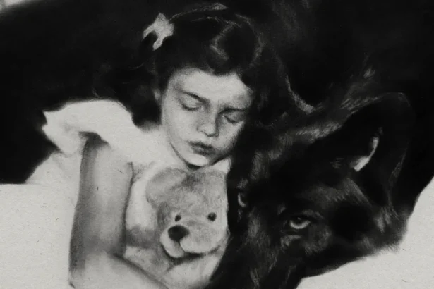 Lana Del Rey - White Feather Hawk Tail Deer Hunter