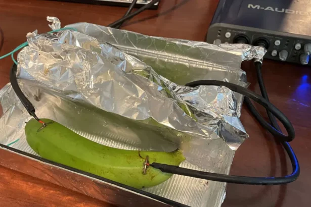 Bana versus cabos de audio