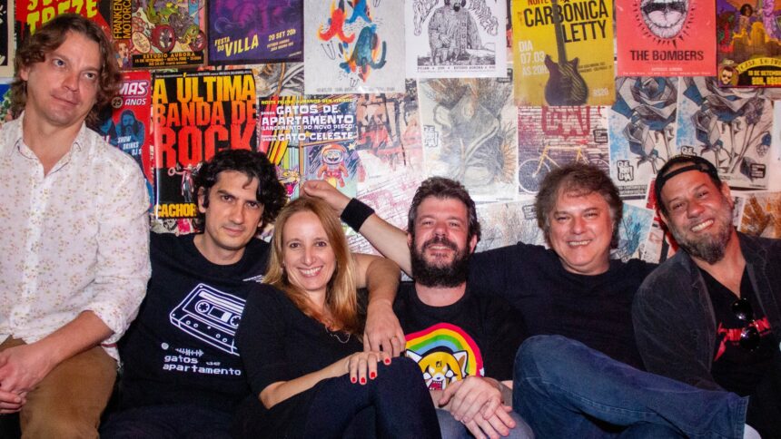 Gatos de Apartamento Foto: Divulgação