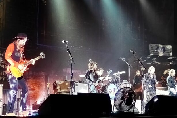 The Black Crowes. Crédito: dr_zoidberg/Wikimedia Commons