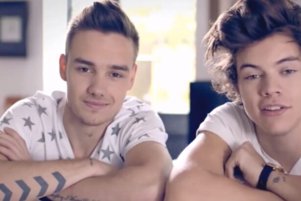 Harry Styles e Liam Payne Foto: Reprodução