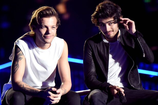 . Louis Tomlinson and Zayn Malik at Rose Bowl on September 11, 2014 in Pasadena, California.  (by Jeff Kravitz/OneD/Getty Images)