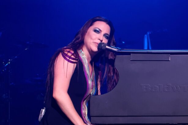 Evanescence. Crédito: Justin Higuchi/Wikimedia Commons