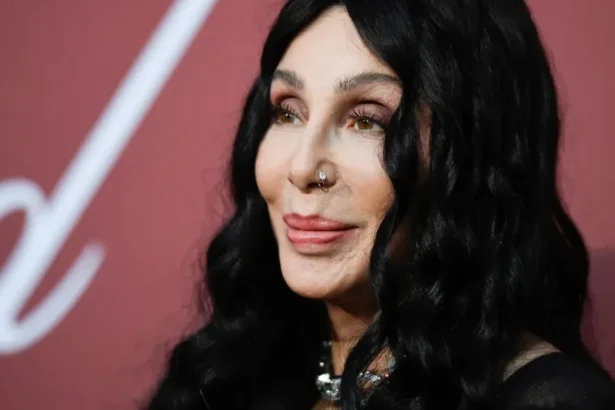Cher. Ryan Emberley/amfAR/Getty for amfAR