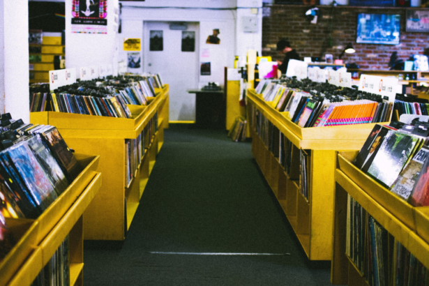 Discos de Vinil. Crédito: StockSnap/Pixabay