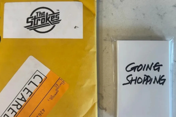 The Strokes. Crédito: Reprodução