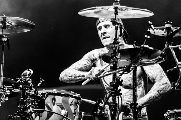 Travis Barker. Crédito: micadew/Wikimedia Commons