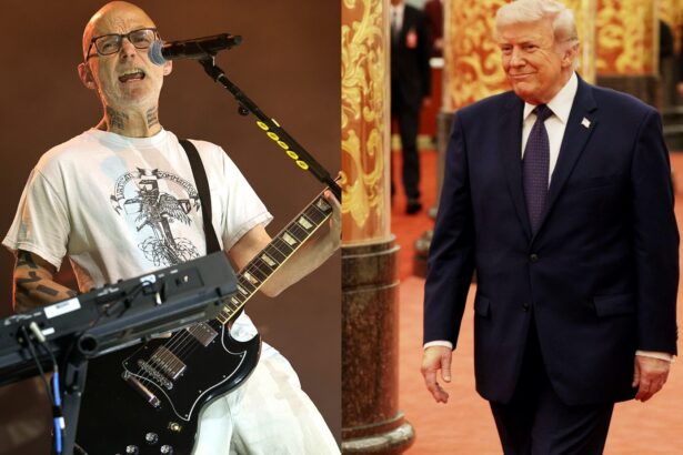 Moby. and President Donald Trump. Arturo Holmes/Getty (L), Alex Wong/Getty (R)