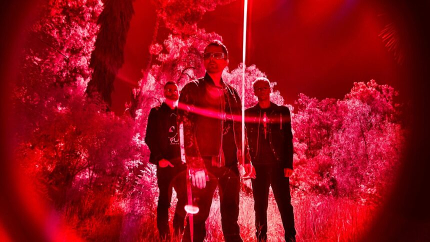 Muse. Tim Saccenti