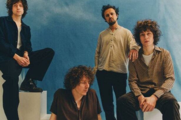 Mystery Jets. Joe Quigg/PRESS