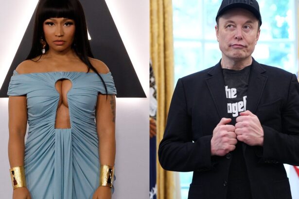 Nicki Minaj. and Elon Musk. Taylor Hill/WireImage, Kevin Dietsch/Getty Images