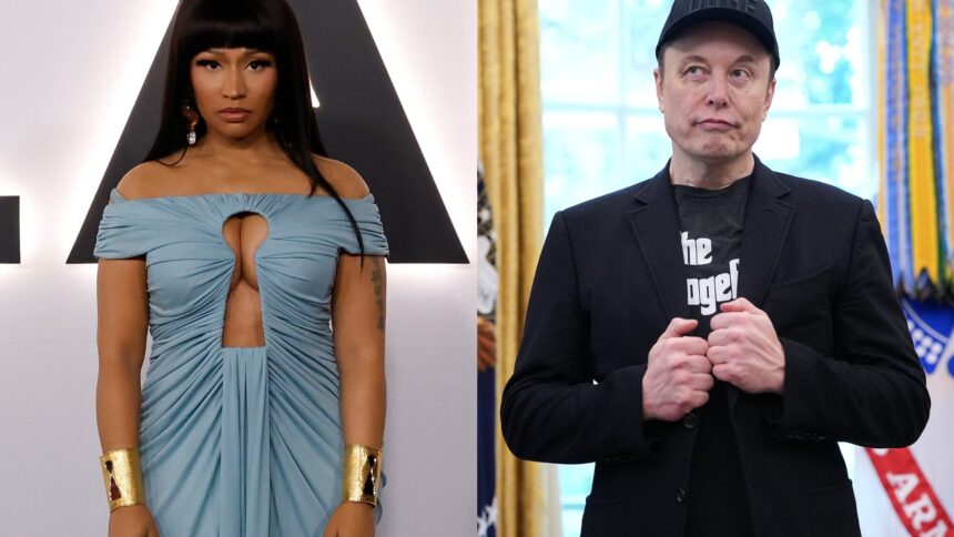 Nicki Minaj. and Elon Musk. Taylor Hill/WireImage, Kevin Dietsch/Getty Images