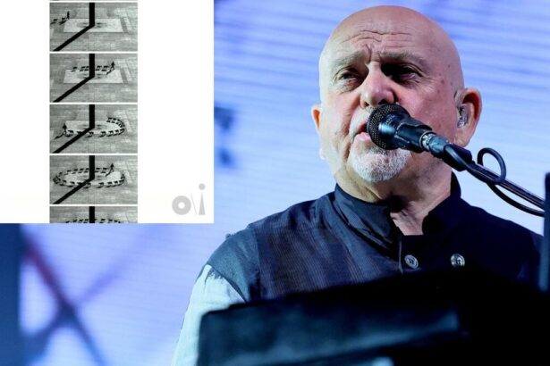 Peter Gabriel. Allison Rapp