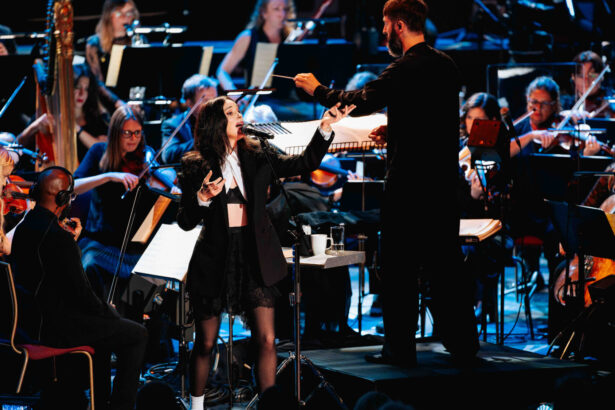 St. Vincent. orchestral show. Andy Paradise